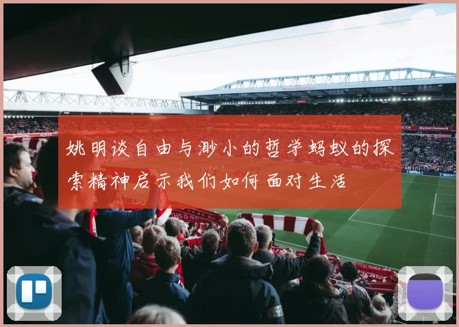 姚明谈自由与渺小的哲学蚂蚁的探索精神启示我们如何面对生活