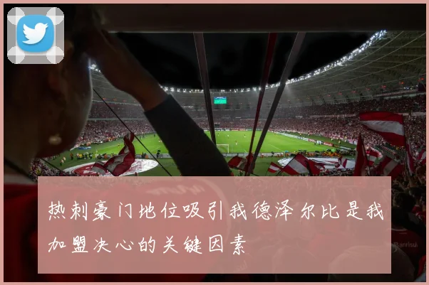 热刺豪门地位吸引我德泽尔比是我加盟决心的关键因素